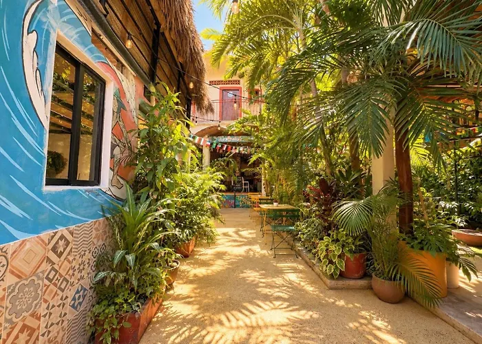 Albergues en Sayulita