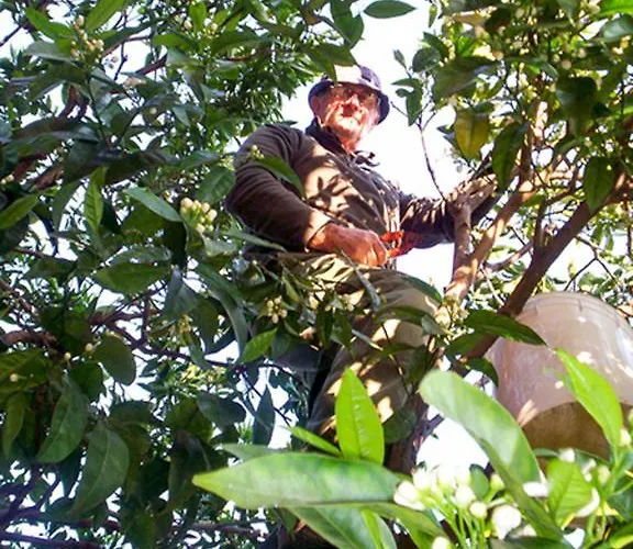 Affittacamere a Ceriale