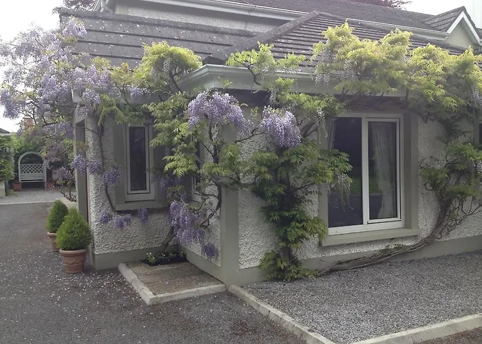 Bed and Breakfasts in Tullamore