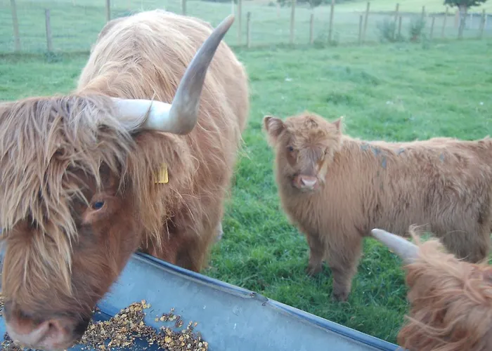 Bed and Breakfast in Drumnadrochit