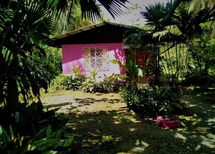 Auberges de Jeunesse à Cahuita