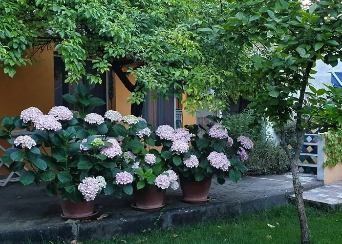 Bed and Breakfast a Usini