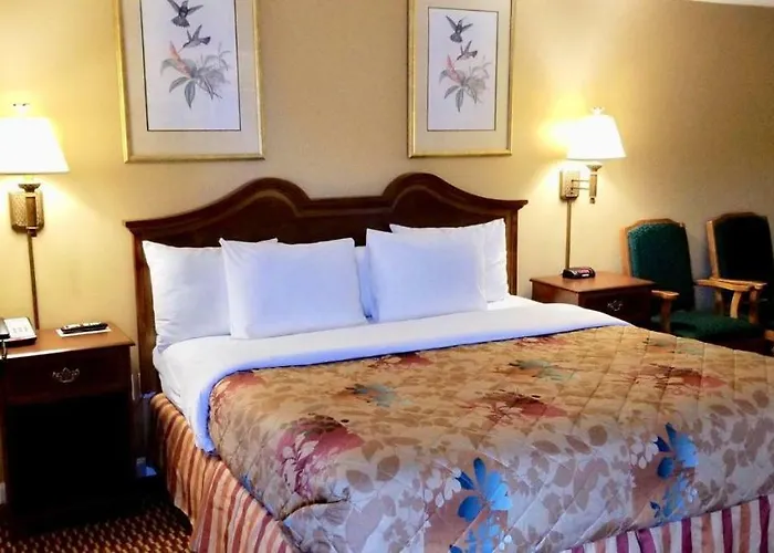Motels in Auburn
