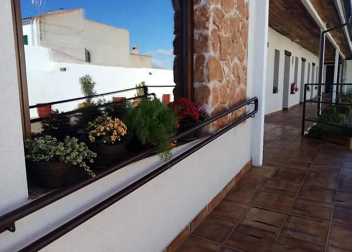 Albergues en Torrenueva (Castilla-La Mancha)